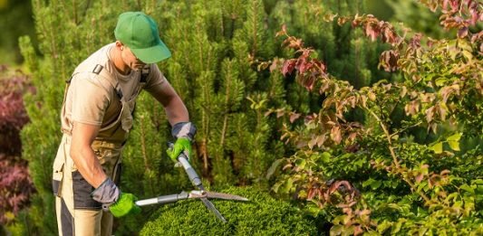 How to Hire A Landscape Contractor