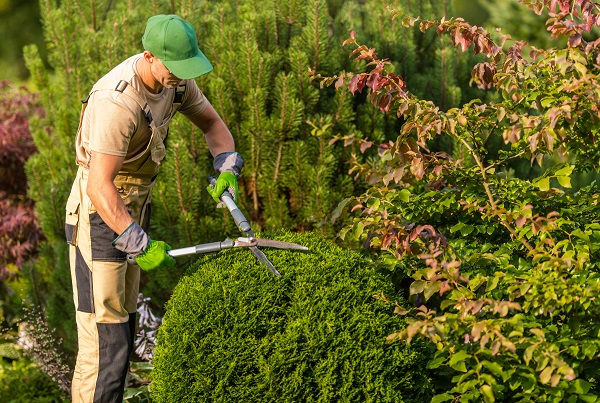How to Hire A Landscape Contractor