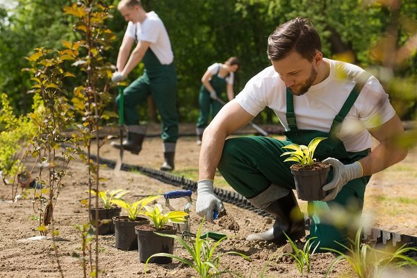 Services provided by a landscape contractor