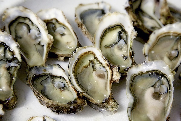 The Health Benefits of Eating Oysters