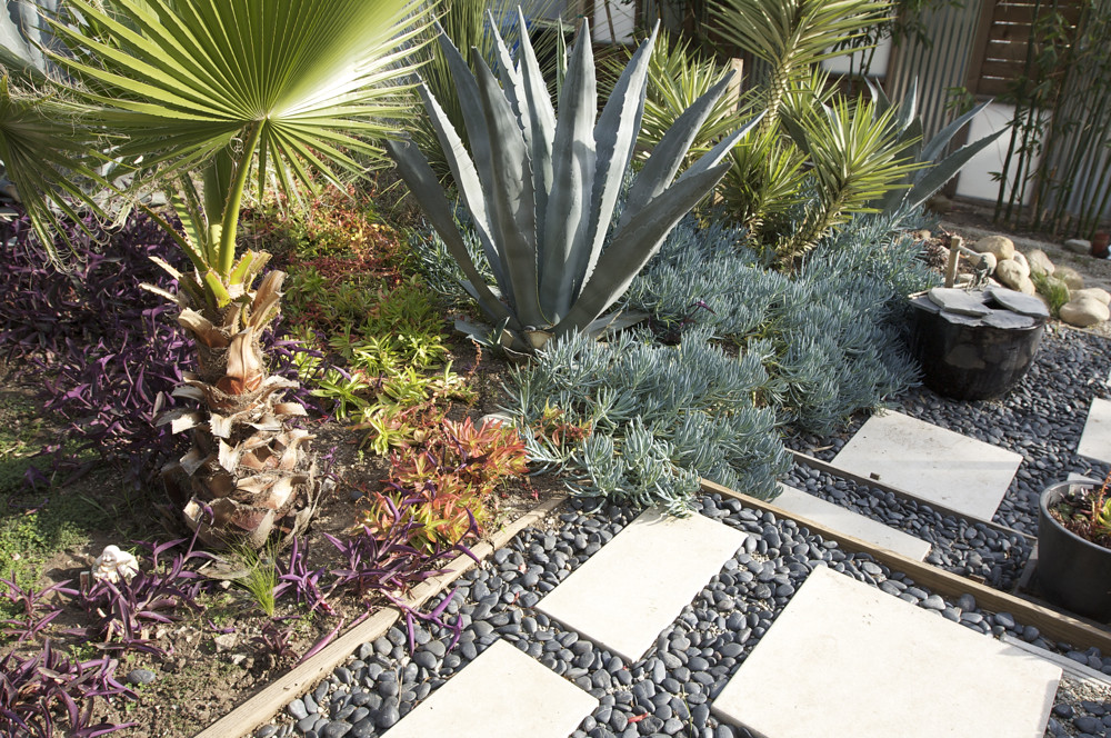 Xeriscape landscape design for your home or business