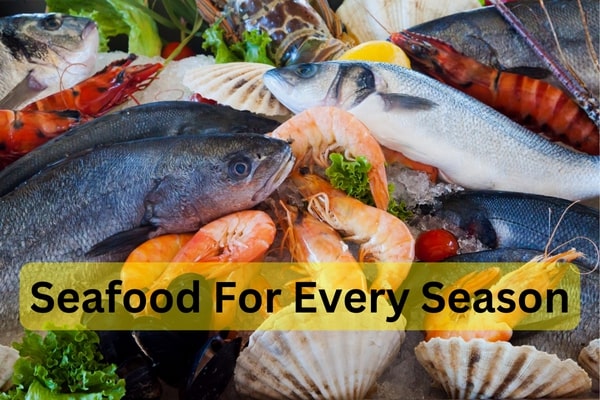 Seafood for every season: best dishes to enjoy year-round