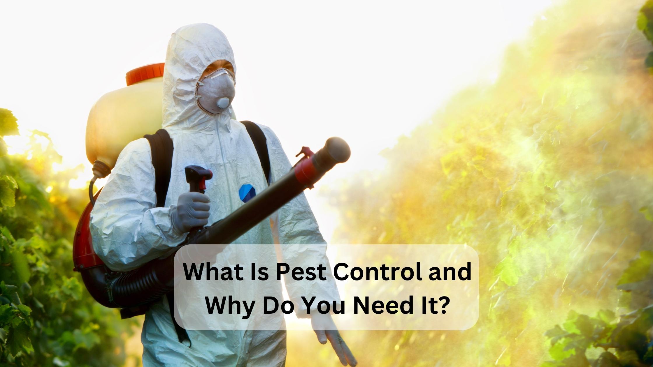 What is pest control and why do you need it