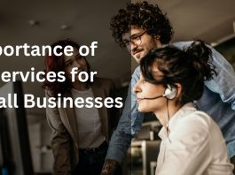 Importance of IT Services for Small Businesses