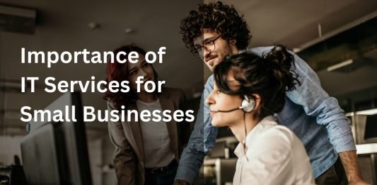 Importance of IT Services for Small Businesses