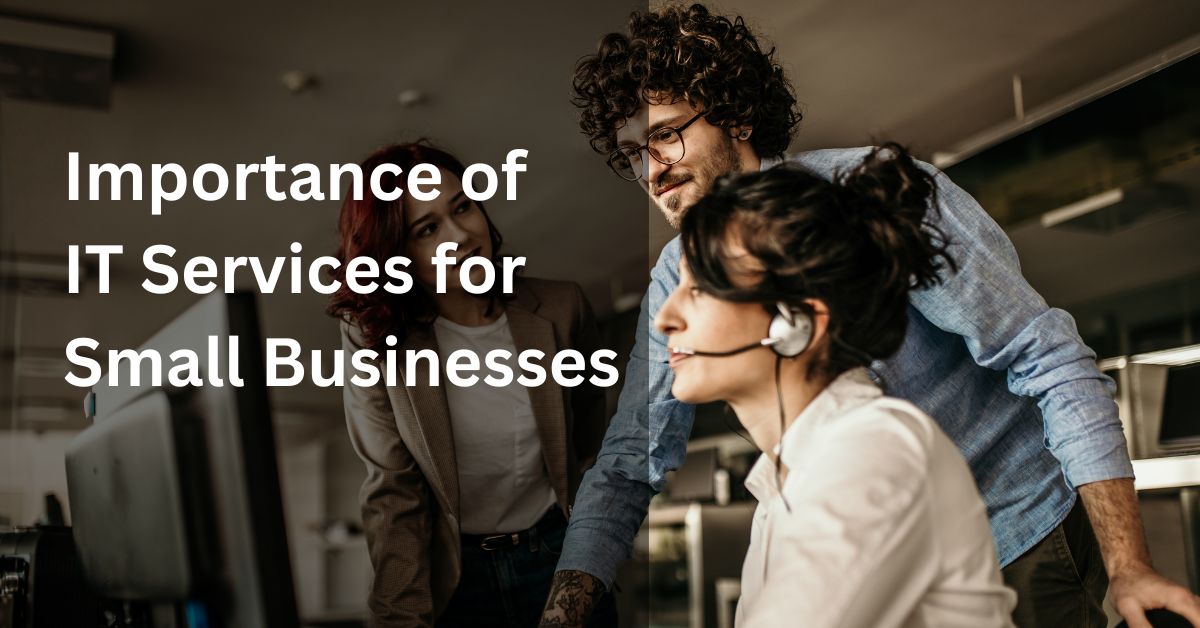 Importance of it services for small businesses