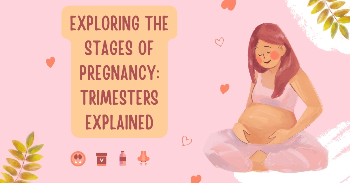 Exploring the Stages of Pregnancy Trimesters Explained
