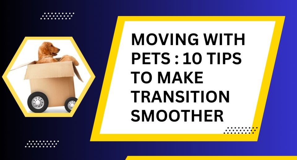 Moving With Pets:10 Tips to Make Transition Smoother