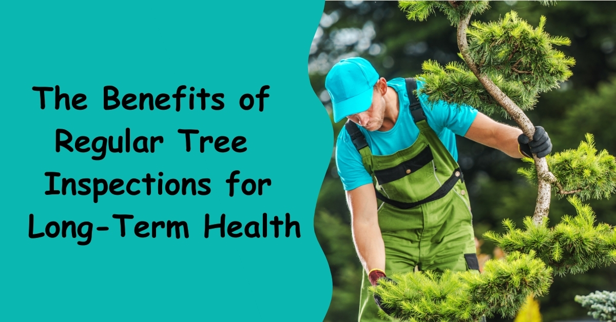 The Benefits of Regular Tree Inspections for Long-Term Health