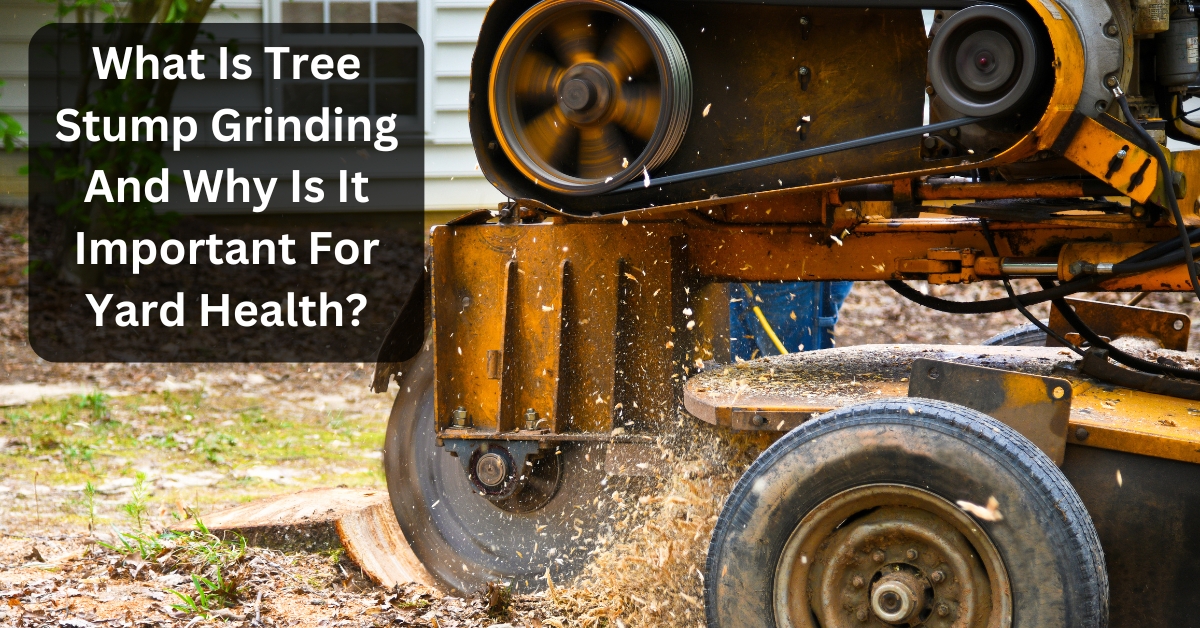 What Is Tree Stump Grinding And Why Is It Important For Yard Health?